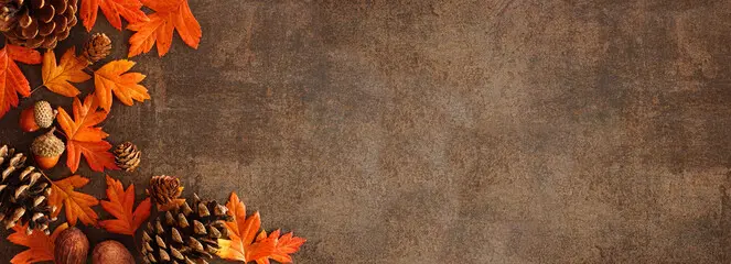 807e0637-a868-4012-867c-c24ad3dcdc34