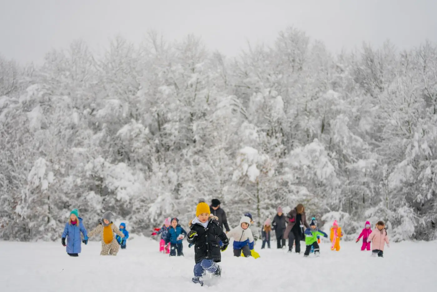 aa319f27-80b1-4990-9773-c9fe60561033