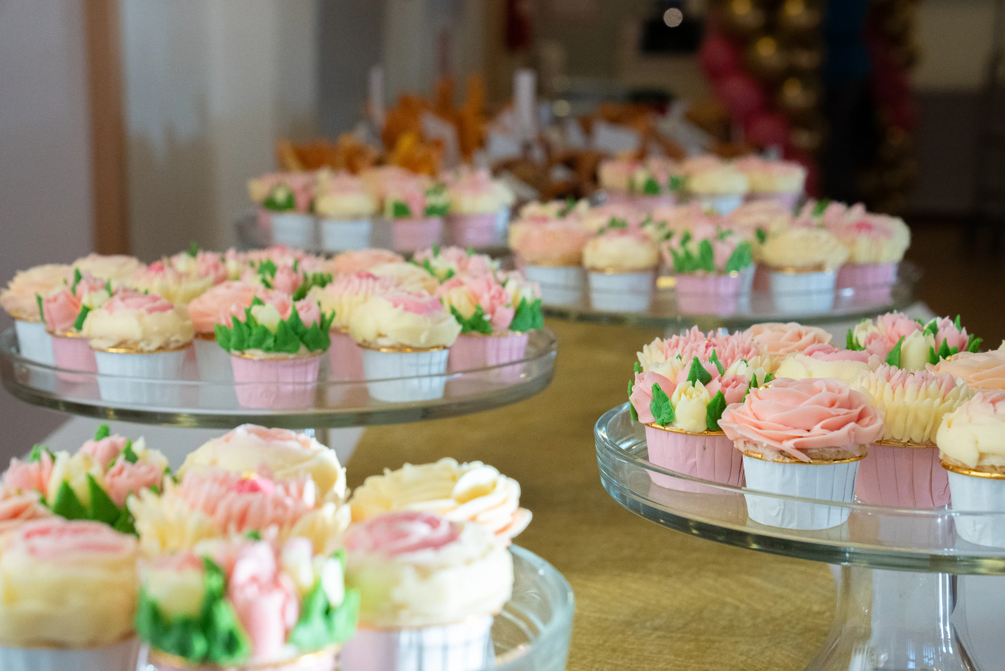 d22af58a-78c3-441f-86f7-77ab97b7048c