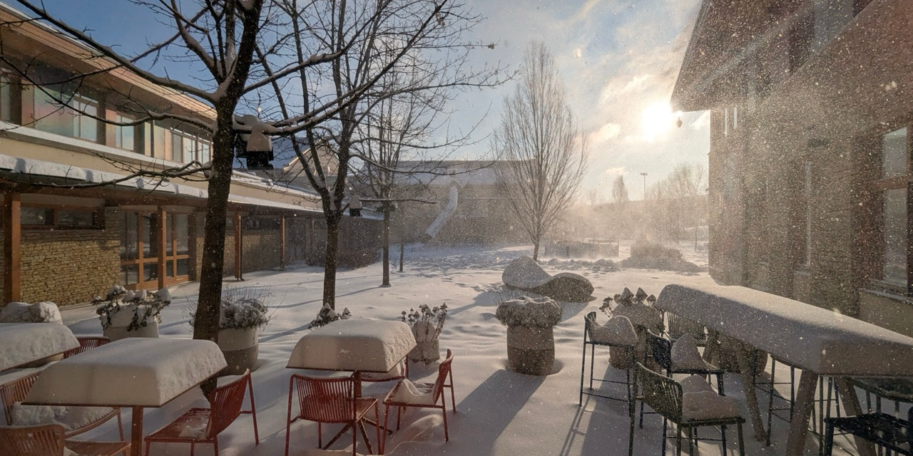 Untitled design (3) Large