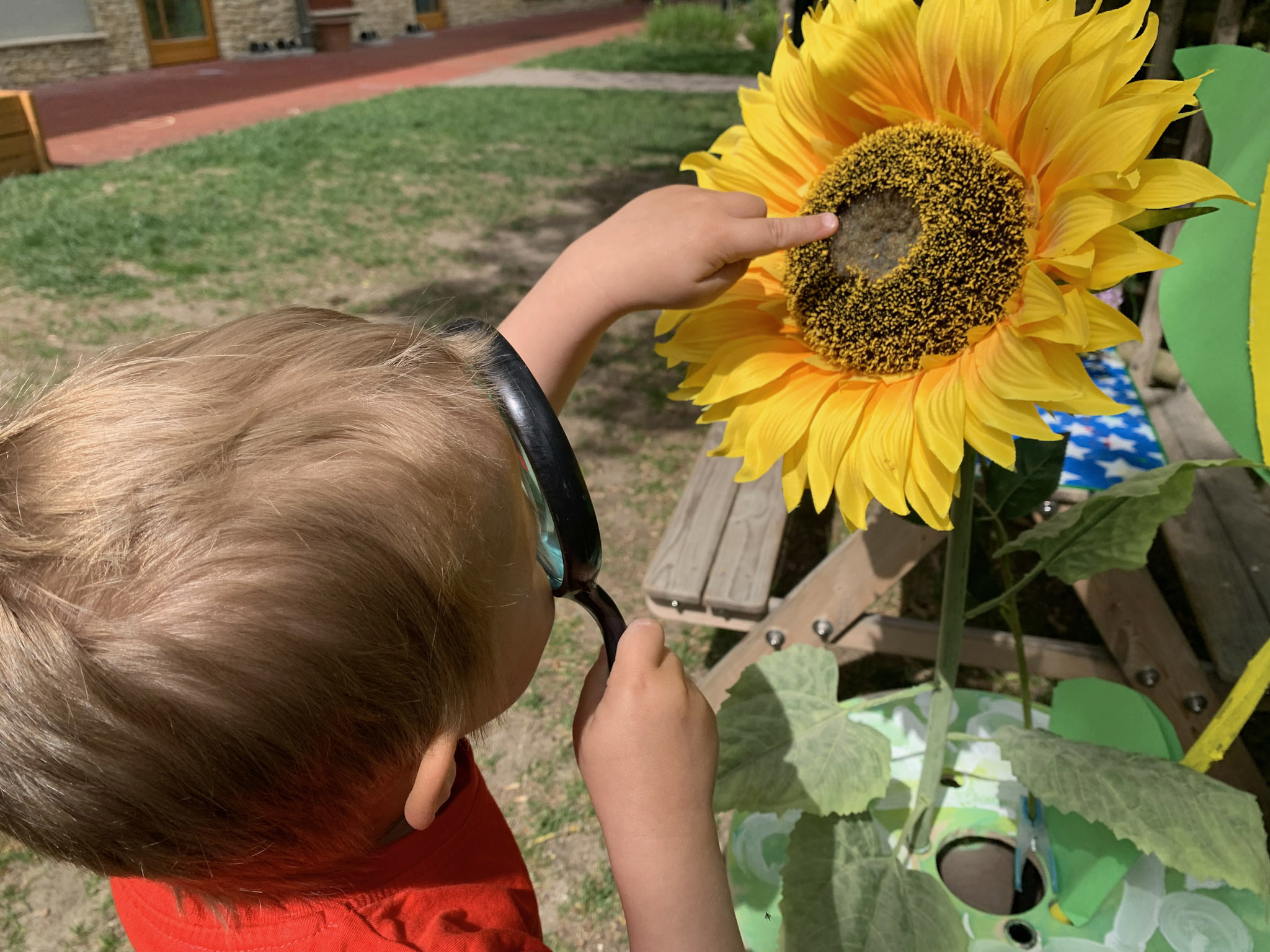 EC_KG_Flower_Festival-6