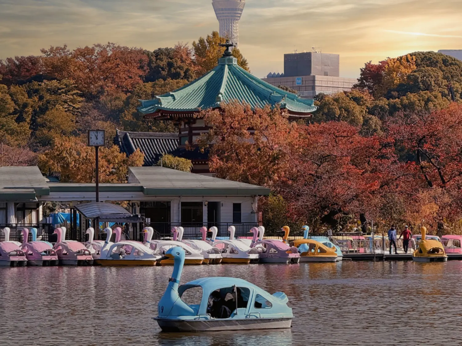Shinobazu_Pond