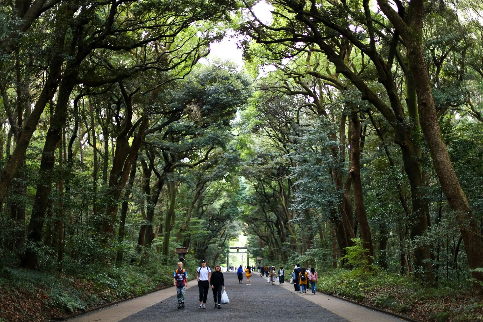 meiji