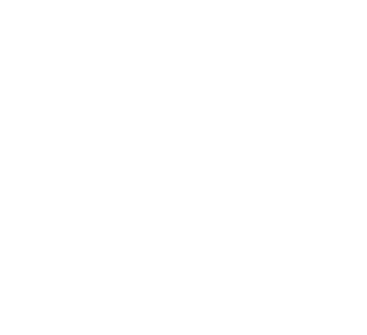 Python (OnChain SDK)
